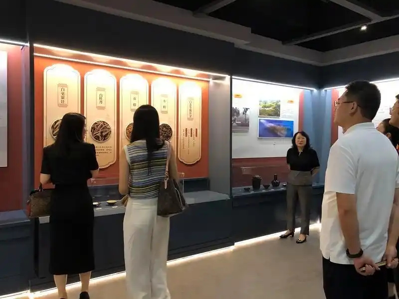 首个全品类茶文化博物馆正式开馆